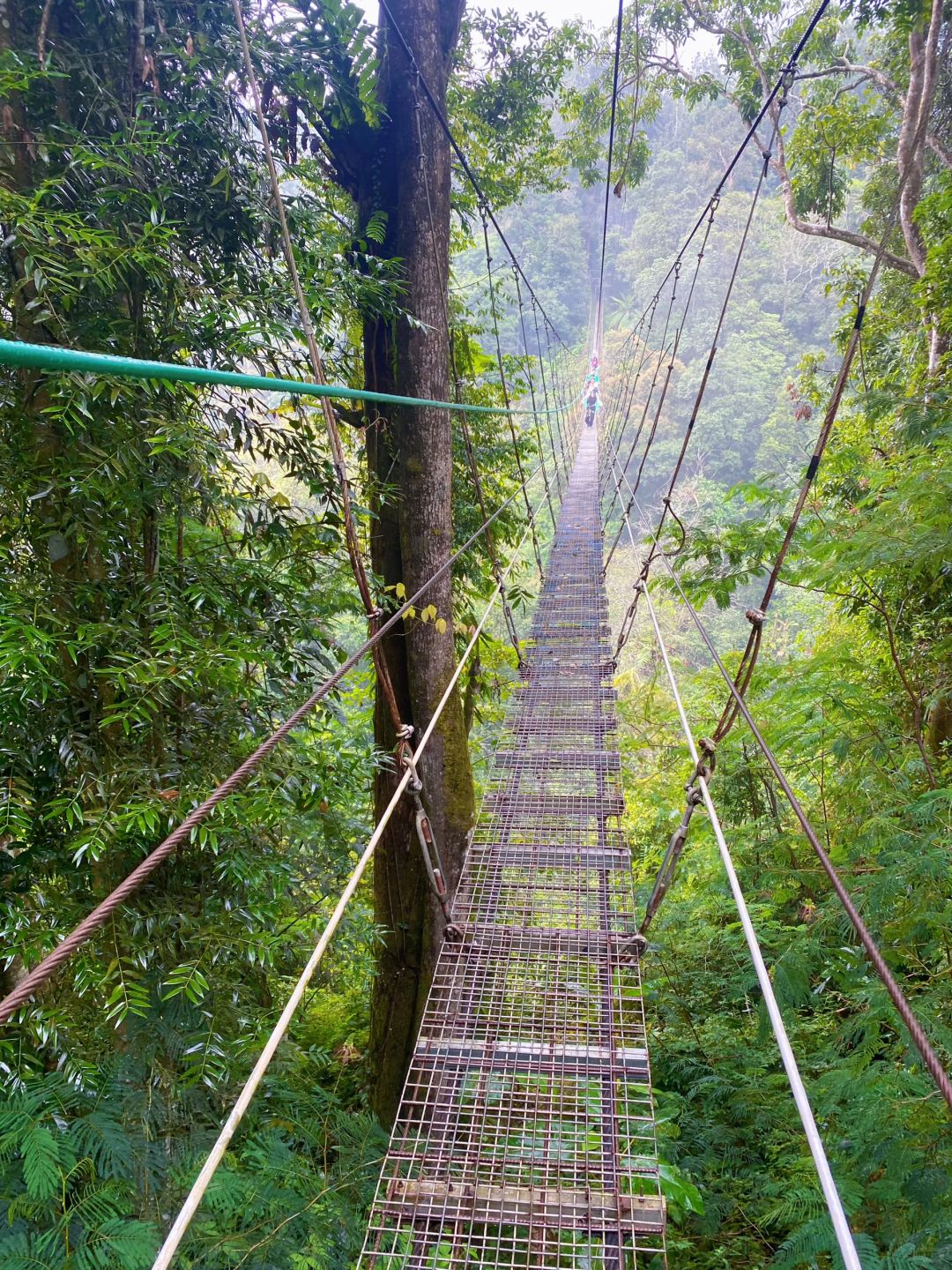 Jakarta-Suspension bridge?, outdoor hiking in the suburbs of Jakarta, through the rainforest