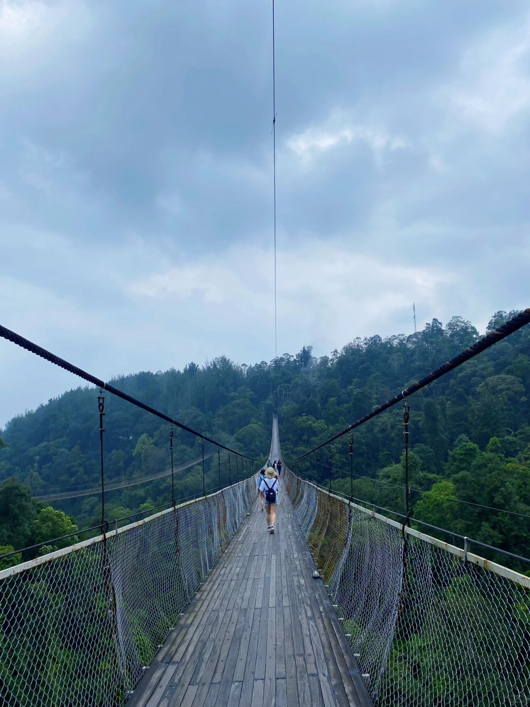 Jakarta-Suspension bridge?, outdoor hiking in the suburbs of Jakarta, through the rainforest