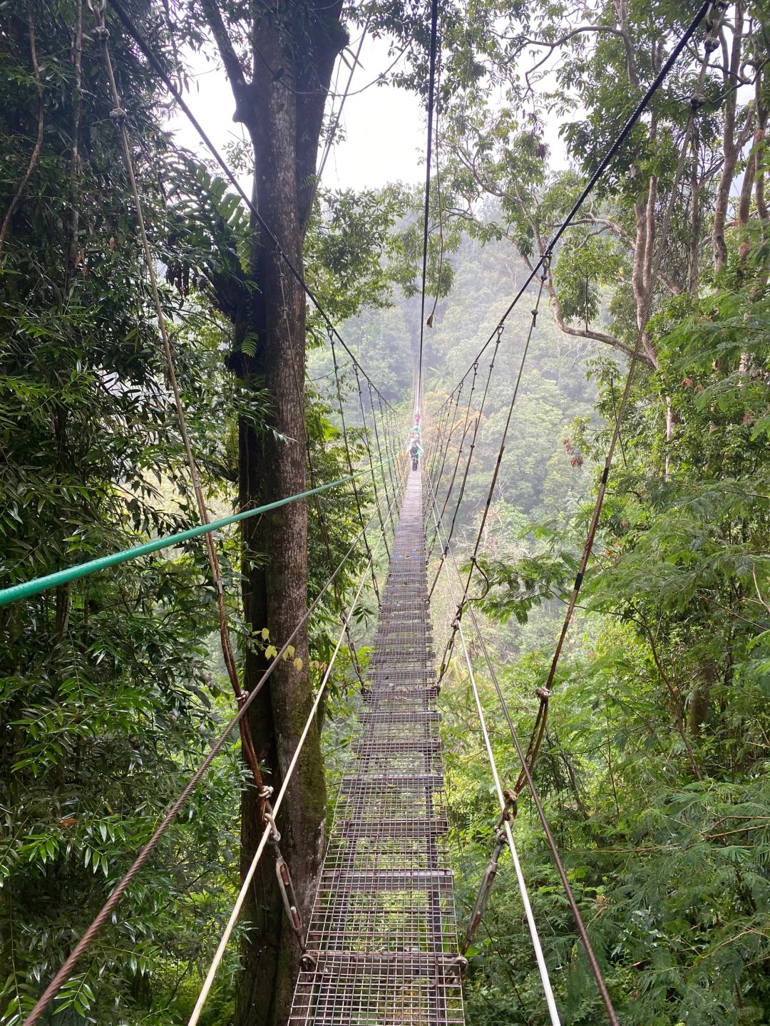 Jakarta-Suspension bridge?, outdoor hiking in the suburbs of Jakarta, through the rainforest