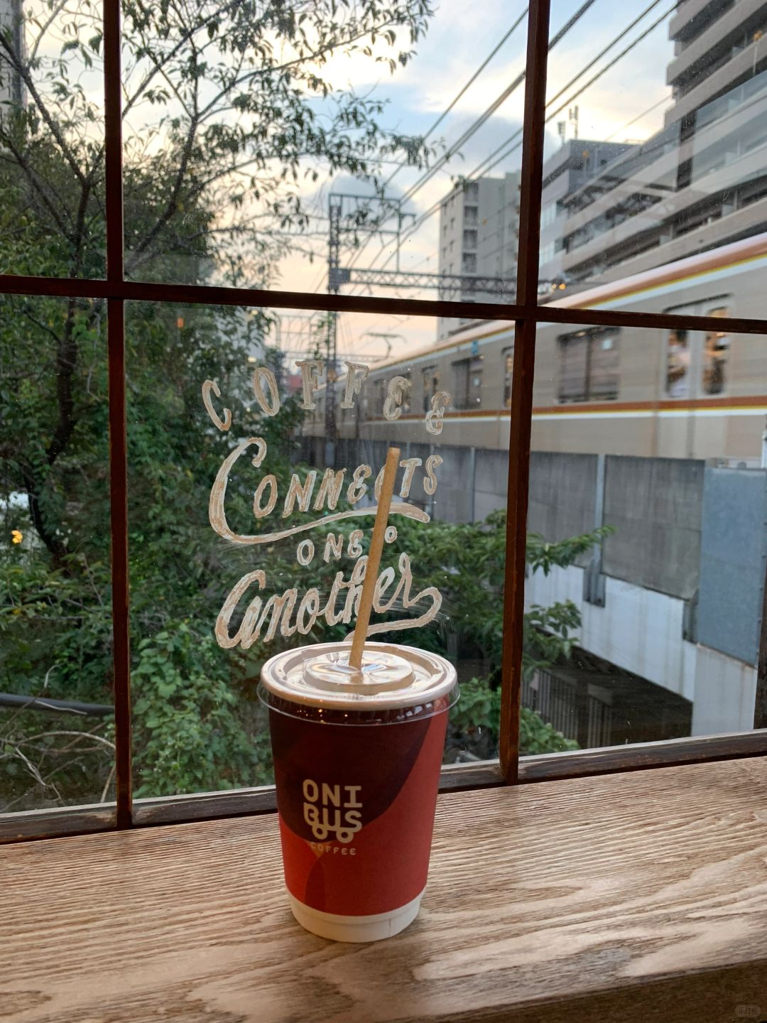 Tokyo-Tokyo Travel. Nezu Museum Garden Cafe and ??‍♂️Harry Potter Studios Hagrid Cake Pendant