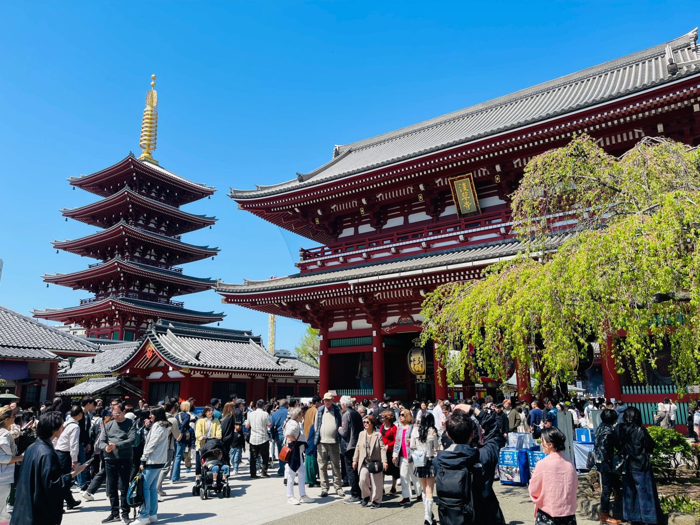 Tokyo-Recommended Tokyo walking tour routes: Sensoji Temple, Tokyo Skytree, Ginza and Shibuya.