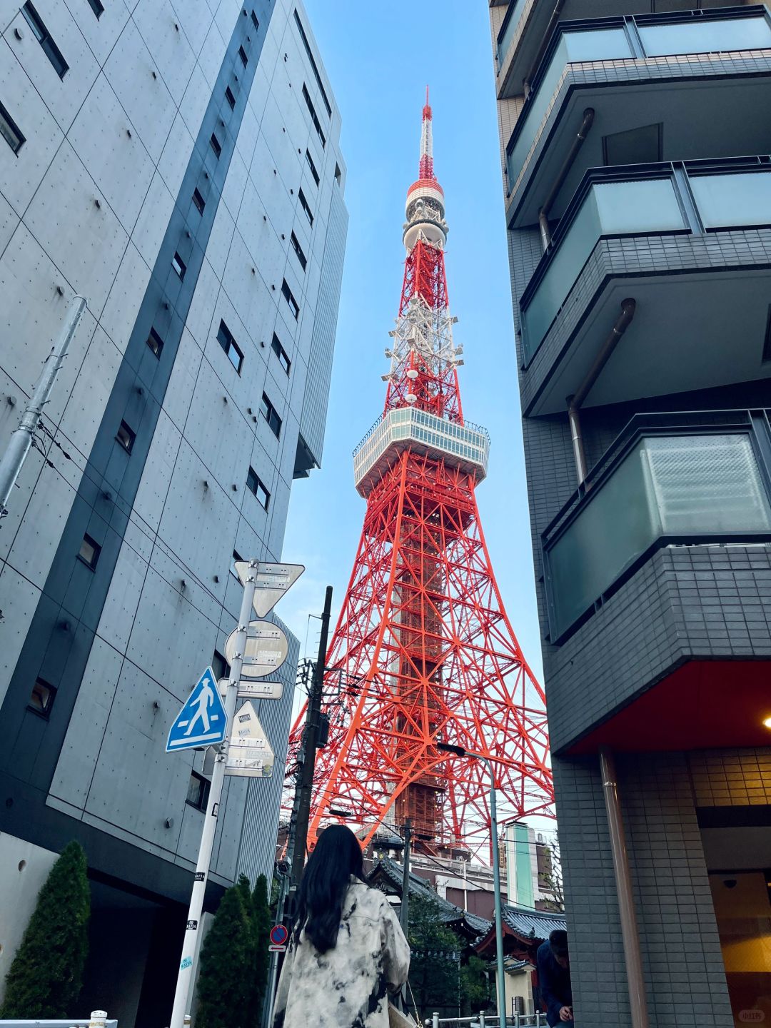 Tokyo-Recommended Tokyo walking tour routes: Sensoji Temple, Tokyo Skytree, Ginza and Shibuya.