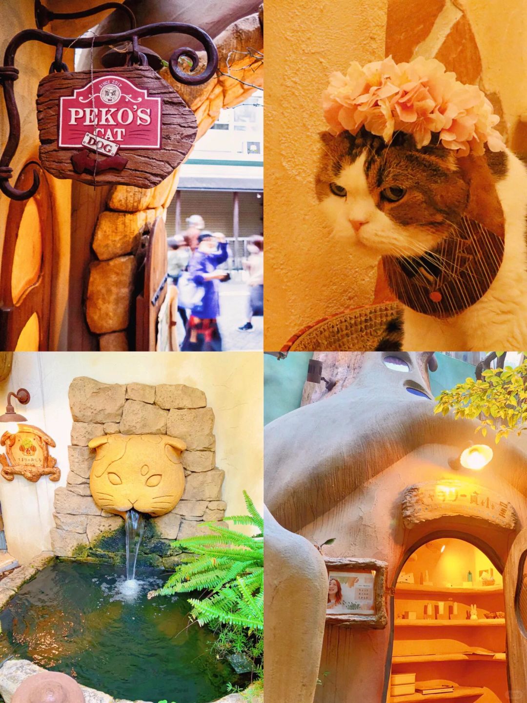 Tokyo-Kichijoji, Tokyo, ?Japan is full of life, leisurely street stroll travel