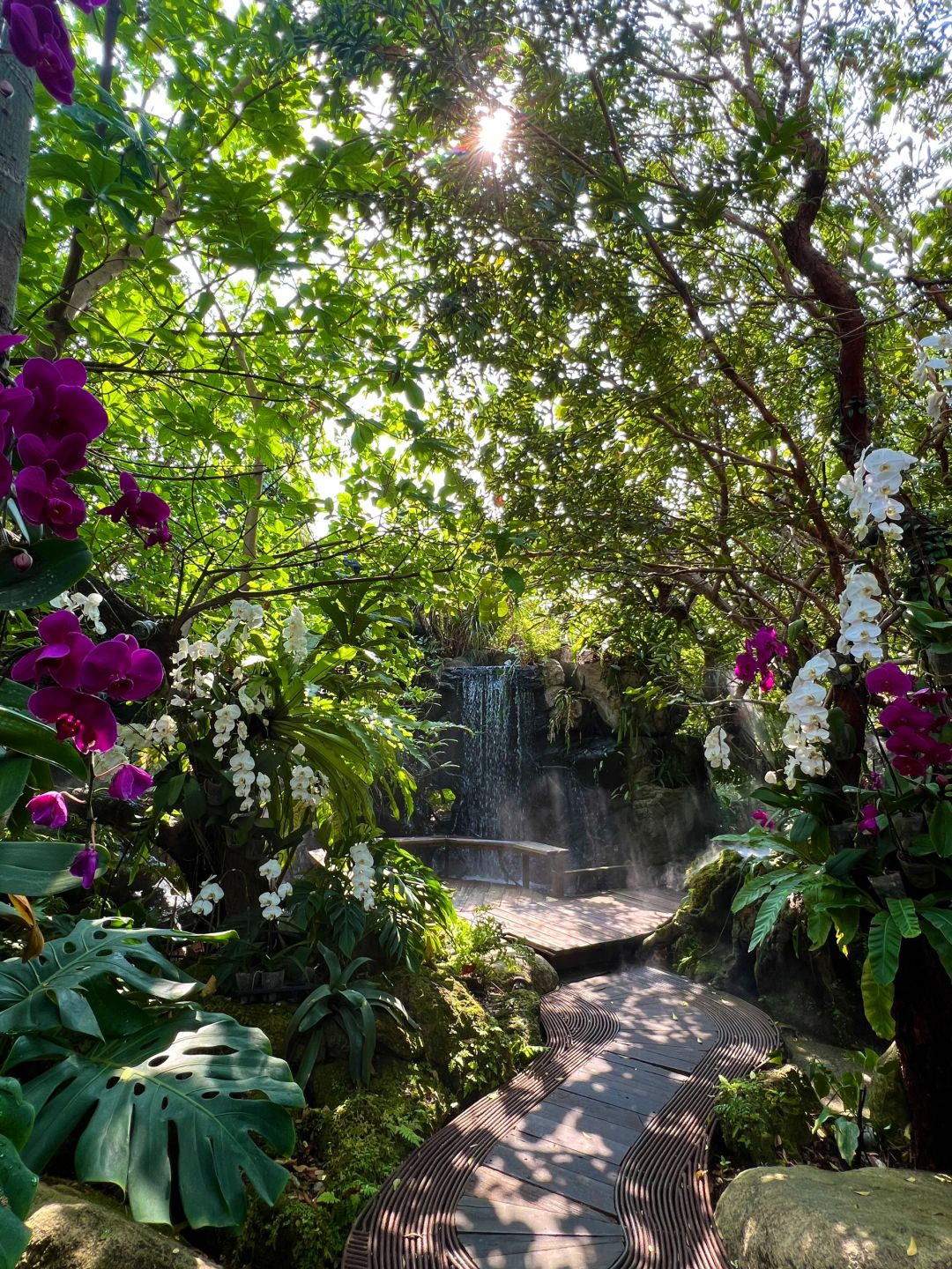 Bangkok-Baan Suan Sathon? Restaurant in Bangkok, a rainforest-style coffee shop