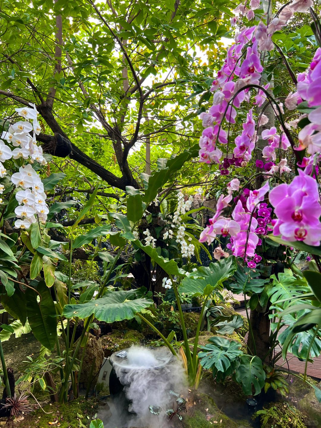 Bangkok-Baan Suan Sathon? Restaurant in Bangkok, a rainforest-style coffee shop