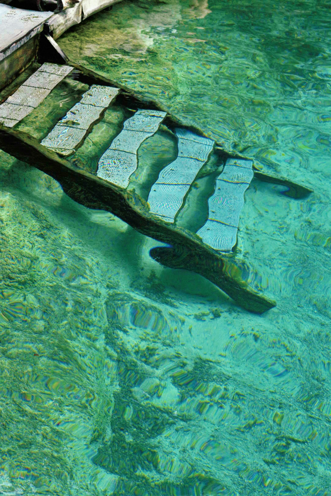 Krabi-Don’t forget to have a coffee break in the rainforest while visiting the Emerald Pool in Krabi