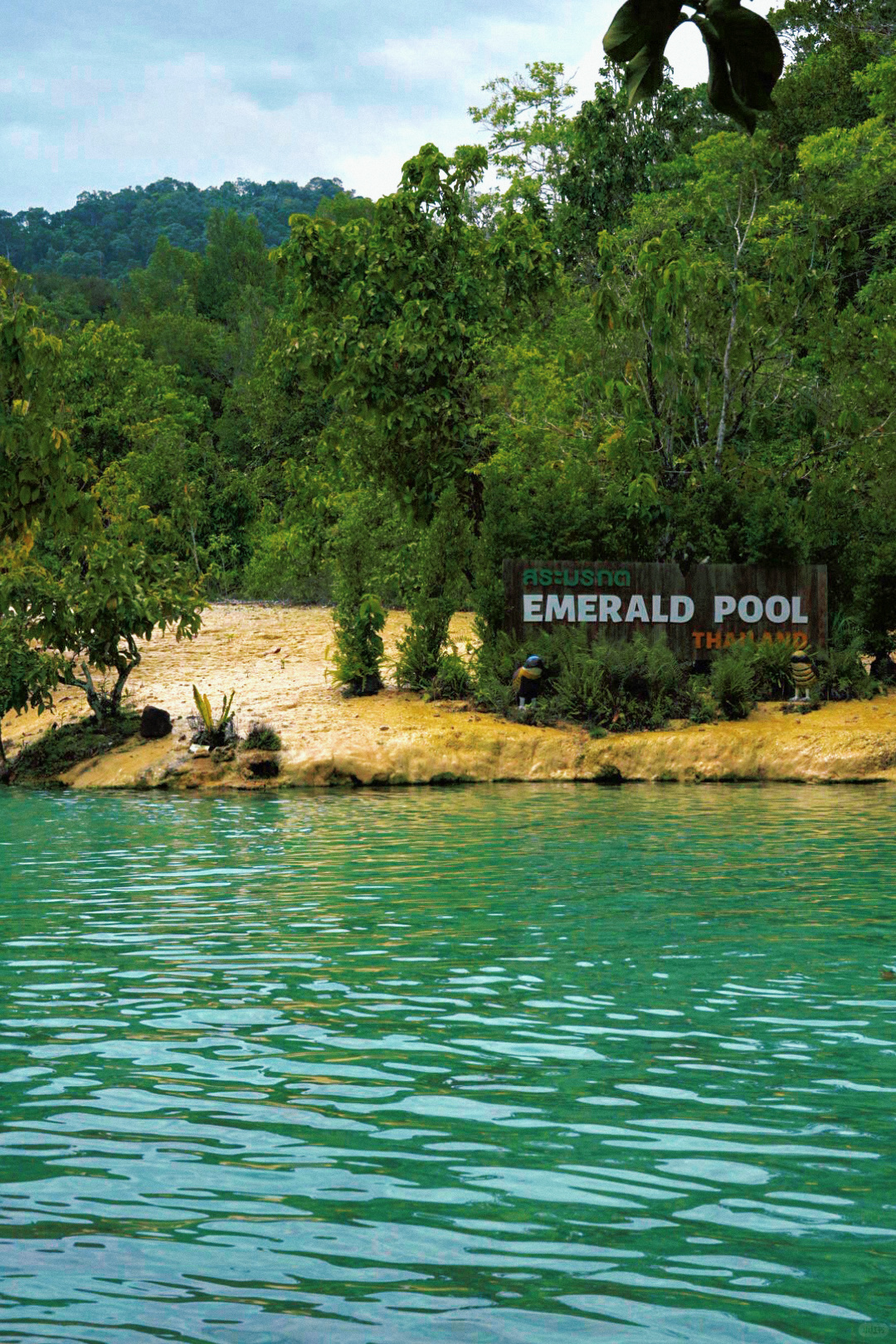 Krabi-Don’t forget to have a coffee break in the rainforest while visiting the Emerald Pool in Krabi