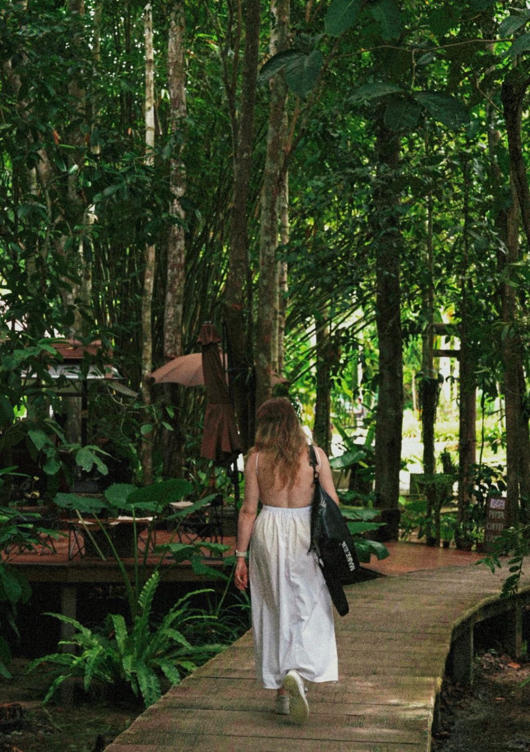 Krabi-Don’t forget to have a coffee break in the rainforest while visiting the Emerald Pool in Krabi