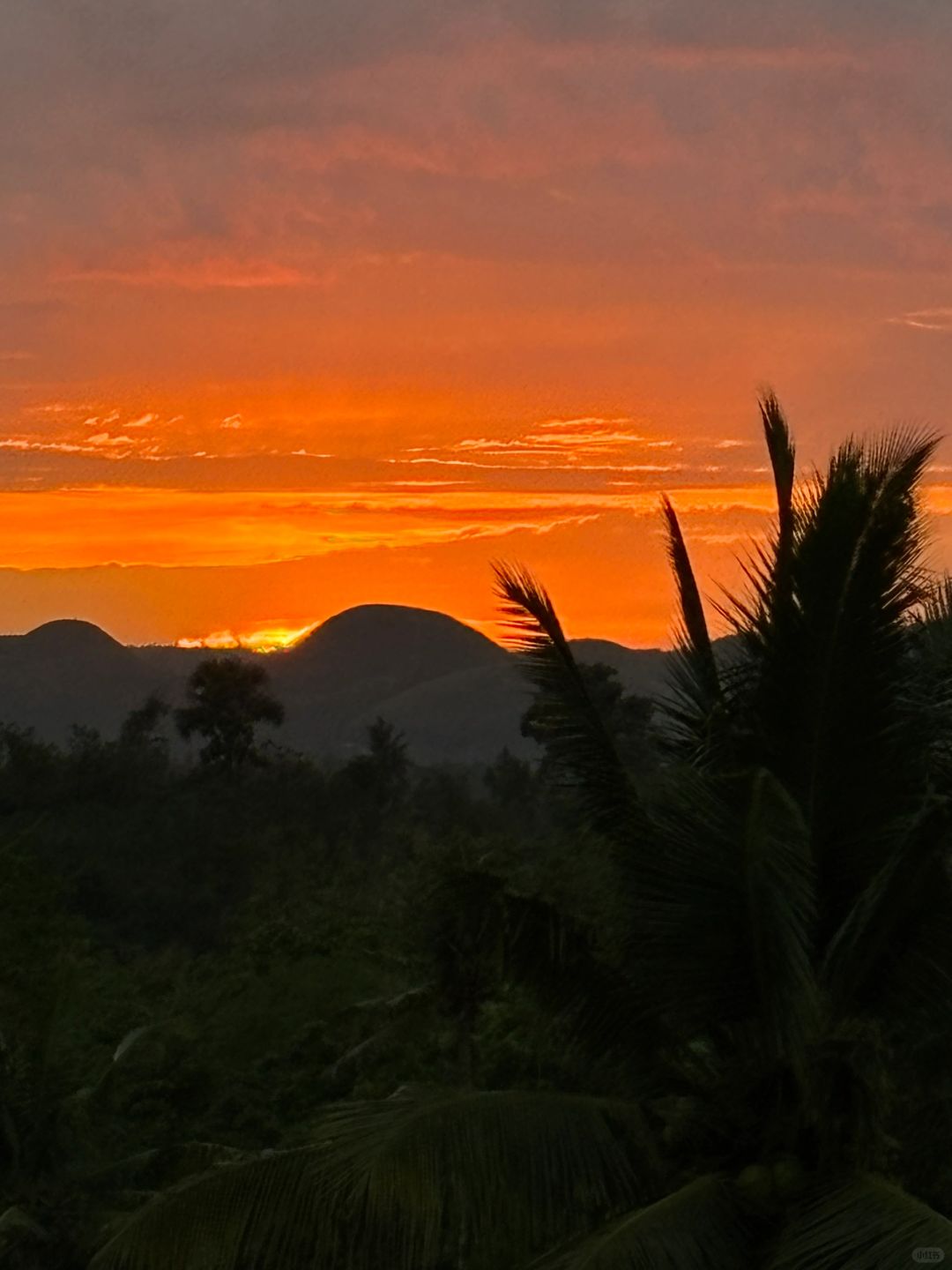 Cebu-Airbnb booked Danao, a private room in a farmhouse, with different delicacies every day