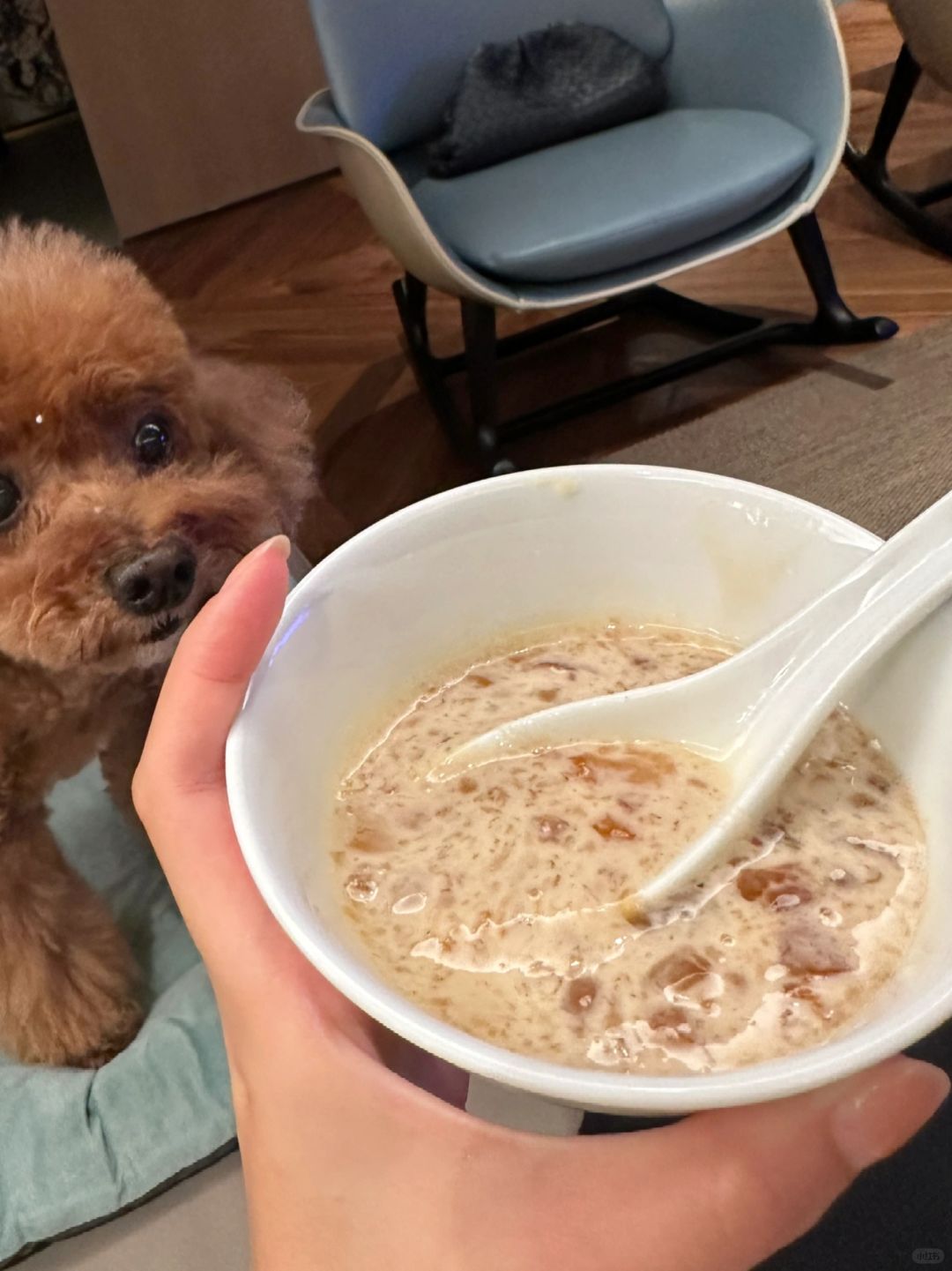 Taiwan-Yujun, Uncle Shawn, Sushi Tianben, Zhiweixiang Corn. ?Taiwan travel food rankings