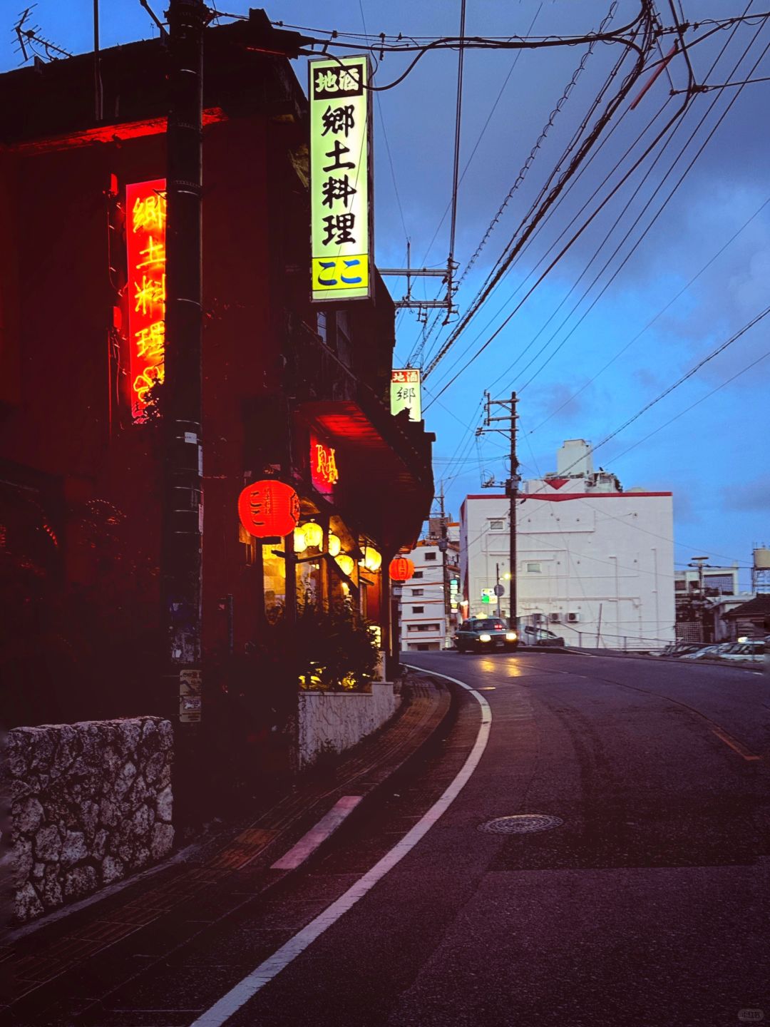 Okinawa-Naha Sake District local cuisine?. Stewed pork feet and roasted ribs are both delicious