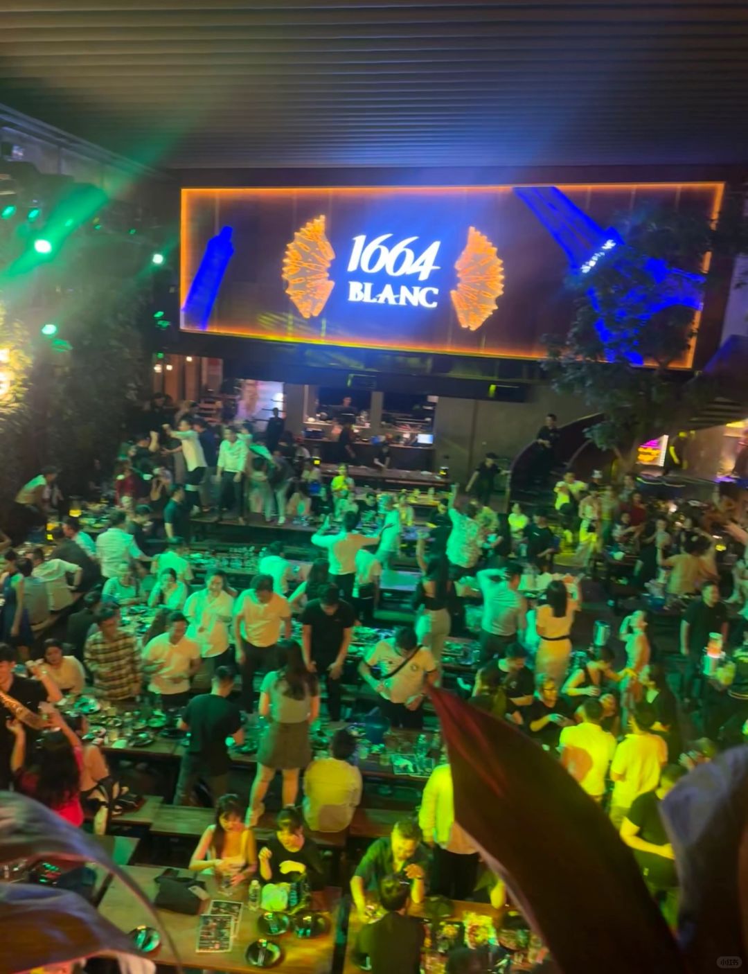 Ho Chi Minh-Ho Chi Minh 1604 BLANC Music Restaurant?, Experience Food and Happiness