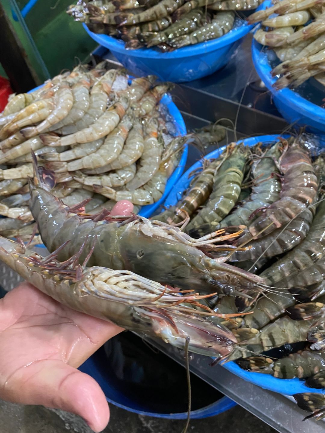 Manila/Luzon-Live cooking at Jade Garden Restaurant at Cicero Seafood Market in Pasay, Manila