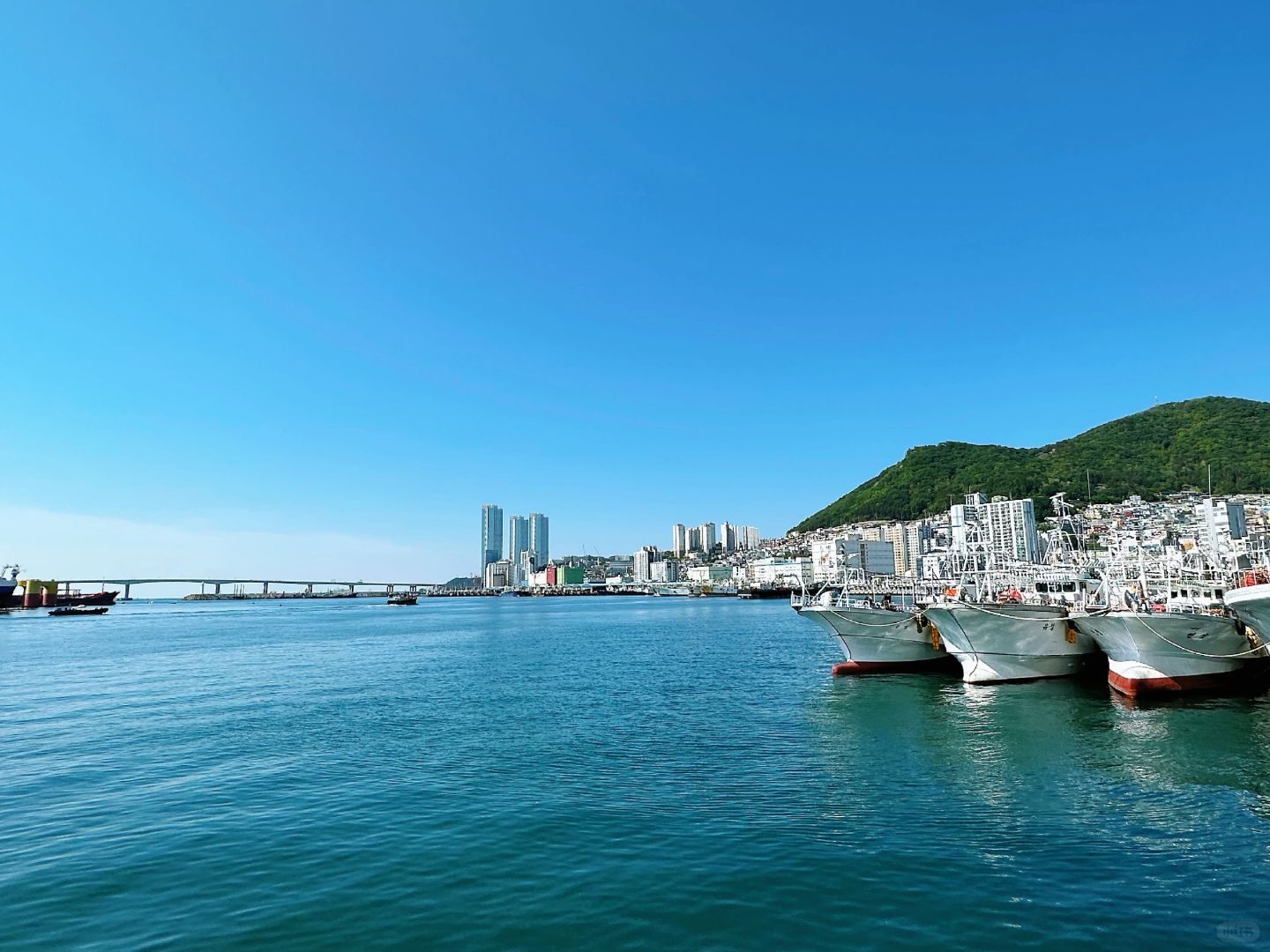 Busan/Jeju-The Coral ani cafe in Busan, South Korea, faces the sea and is breathtakingly beautiful
