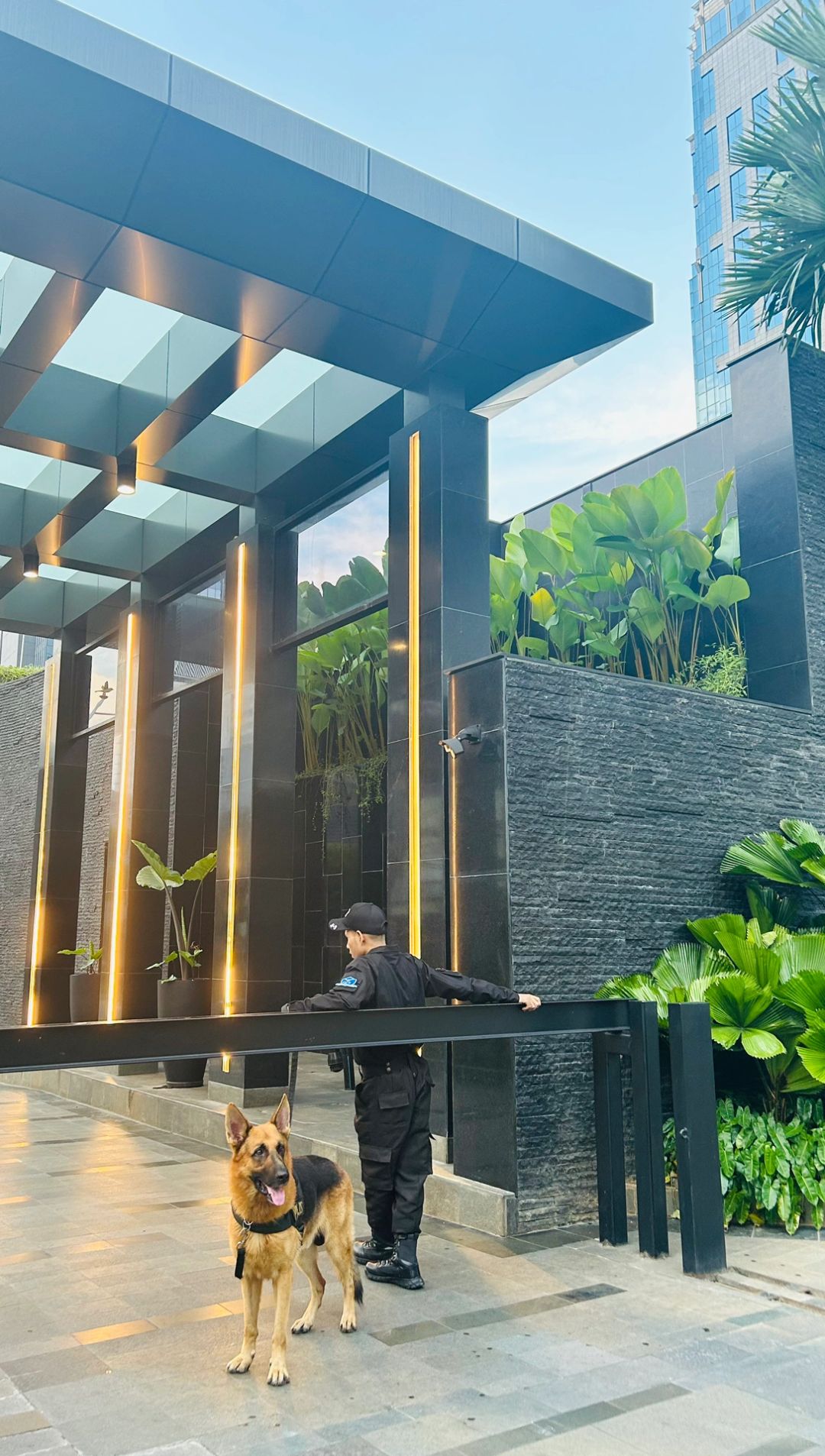 Jakarta-Park Hyatt Jakarta?, starry rooftop pool, near Monument Square