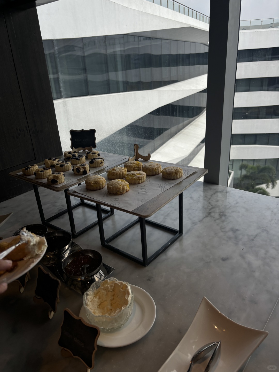 Manila/Luzon-Conrad Hotel Executive Suite, Grand Hyatt Hotel Restaurant Dinner Experience