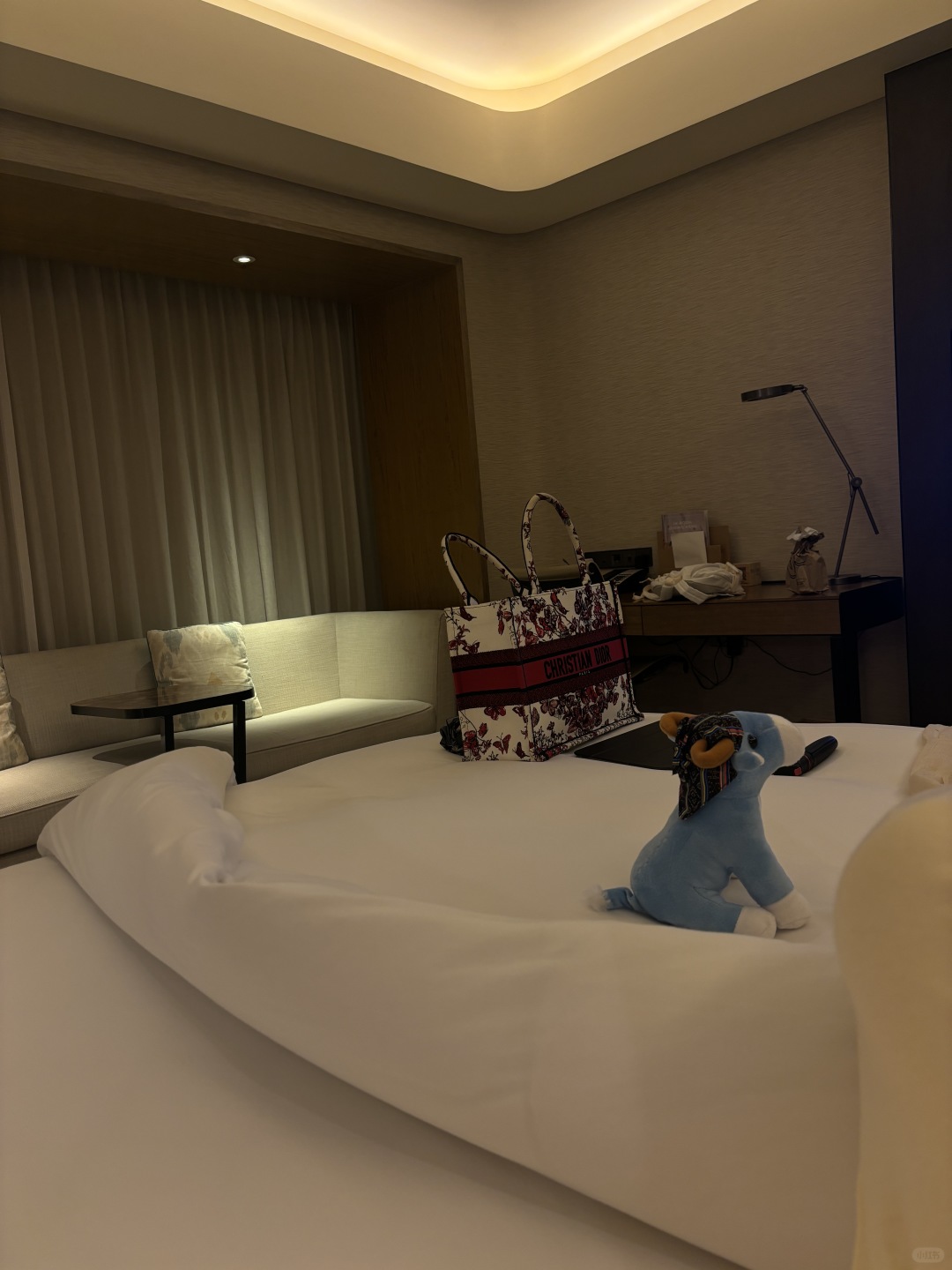 Manila/Luzon-Conrad Hotel Executive Suite, Grand Hyatt Hotel Restaurant Dinner Experience