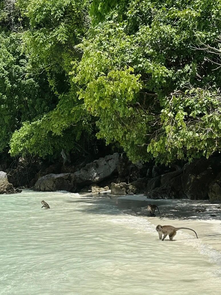 Krabi-Krabi travel Q&A food, drink and entertainment guide, every natural scenery is amazing