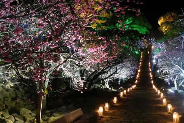 Okinawa-30 things to do in Okinawa and experience the unique natural environment of Kyushu