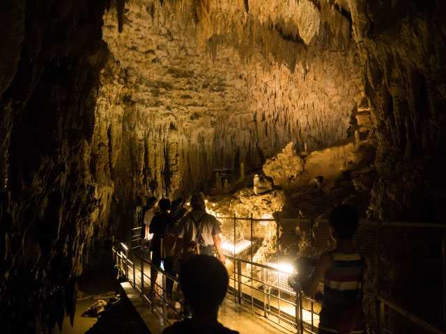 Okinawa-30 things to do in Okinawa and experience the unique natural environment of Kyushu