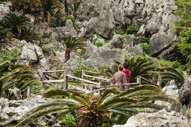 Okinawa-30 things to do in Okinawa and experience the unique natural environment of Kyushu
