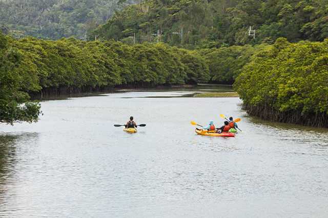 Okinawa-30 things to do in Okinawa and experience the unique natural environment of Kyushu