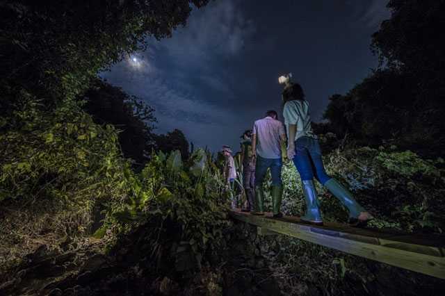 Okinawa-30 things to do in Okinawa and experience the unique natural environment of Kyushu