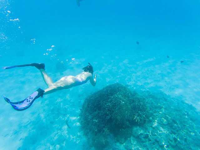 Okinawa-30 things to do in Okinawa and experience the unique natural environment of Kyushu