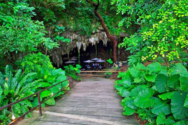 Okinawa-30 things to do in Okinawa and experience the unique natural environment of Kyushu