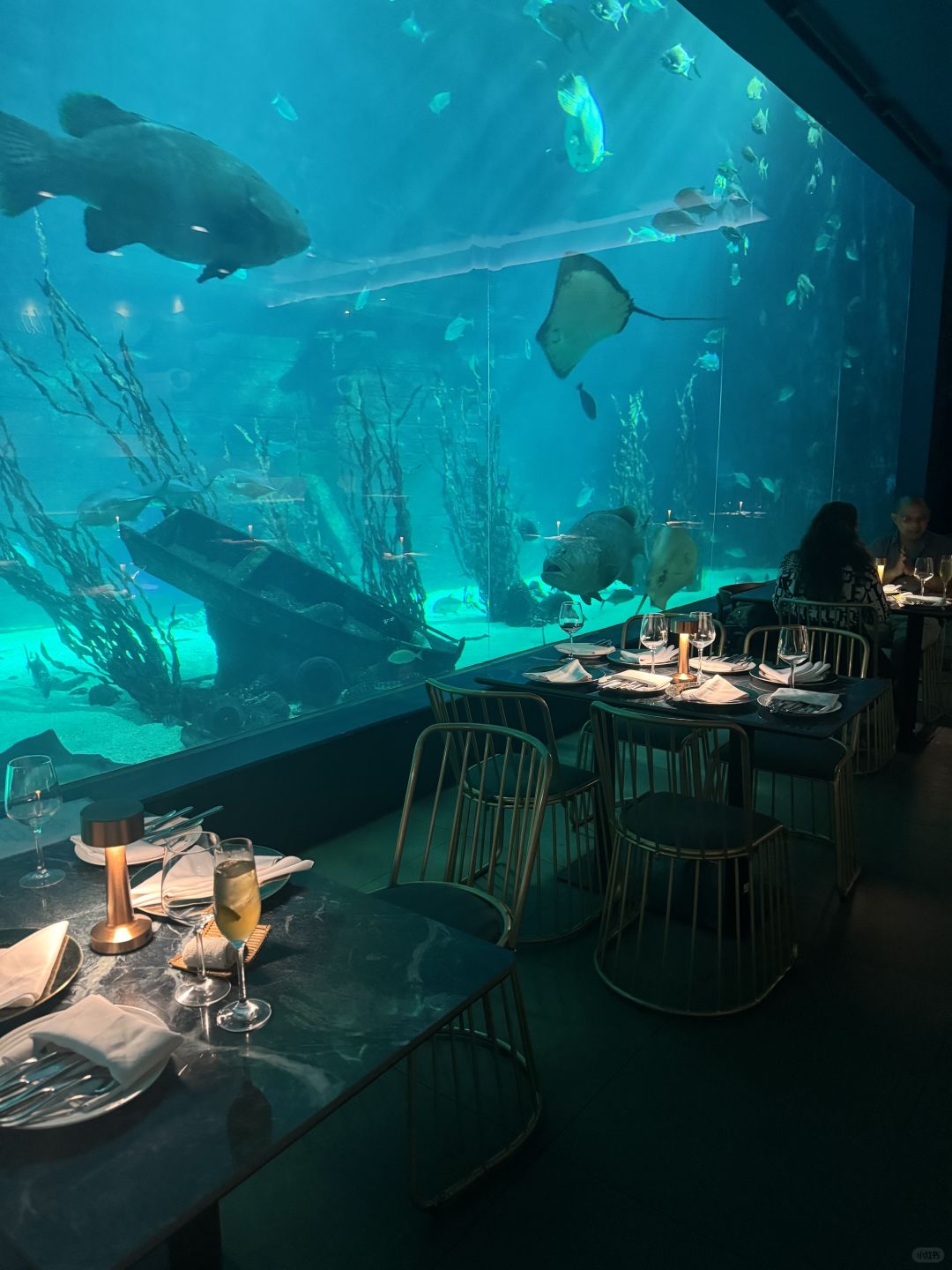 Cebu-Water restaurant adventure, super atmospheric underwater restaurant in Cebu, Philippines
