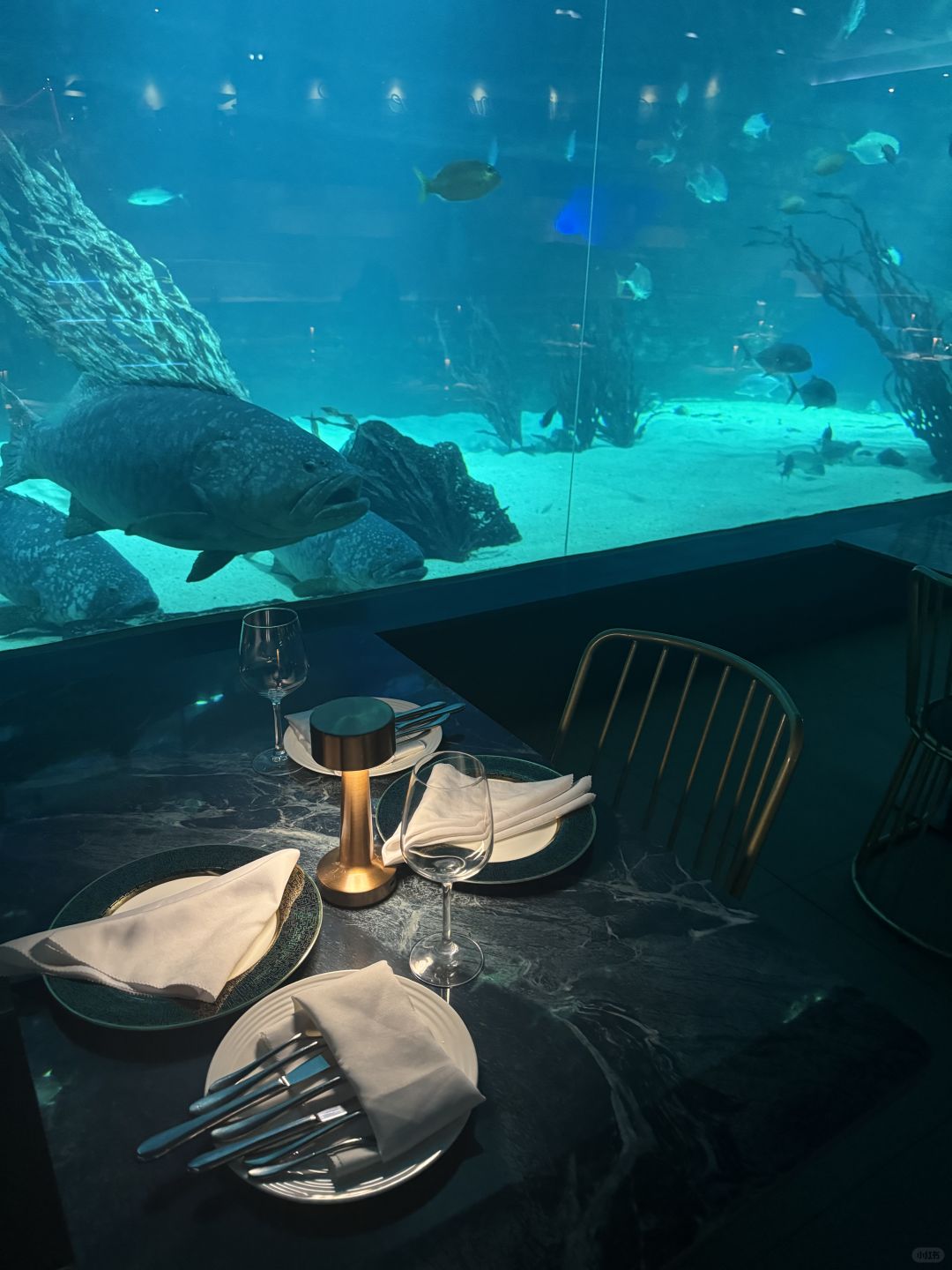 Cebu-Water restaurant adventure, super atmospheric underwater restaurant in Cebu, Philippines
