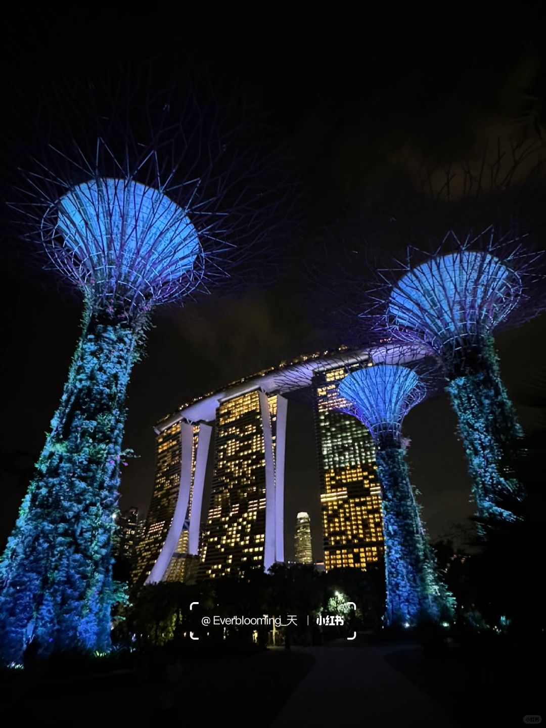 Singapore-Night view of Gardens by the Bay in Singapore, adjacent to the Marina Reservoir