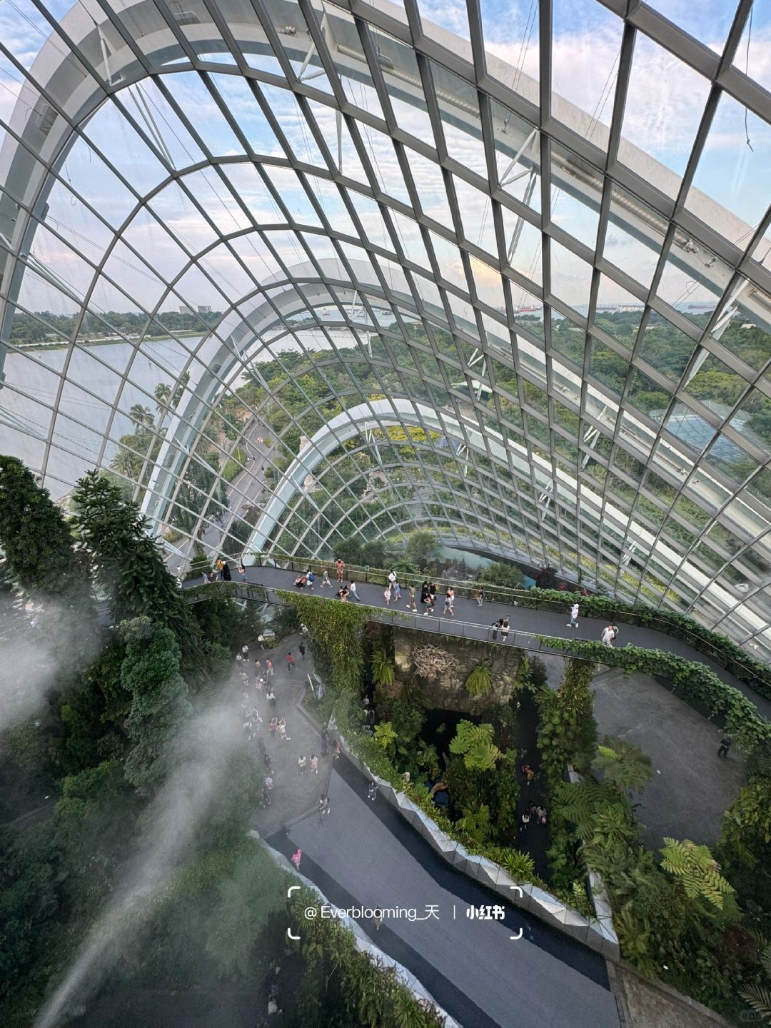 Singapore-Night view of Gardens by the Bay in Singapore, adjacent to the Marina Reservoir