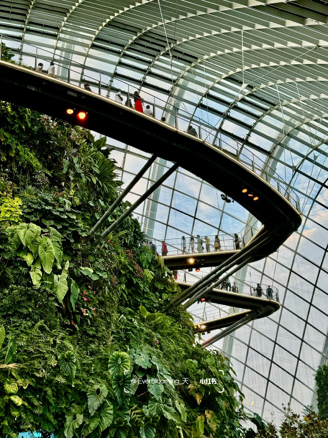 Singapore-Night view of Gardens by the Bay in Singapore, adjacent to the Marina Reservoir