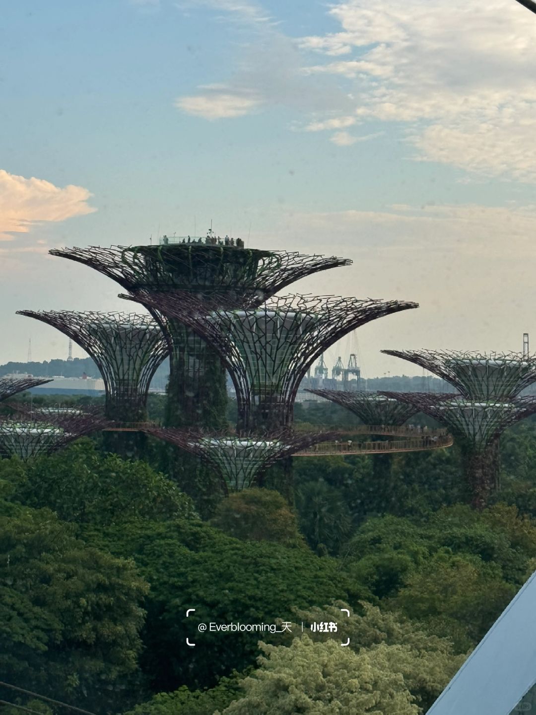 Singapore-Night view of Gardens by the Bay in Singapore, adjacent to the Marina Reservoir