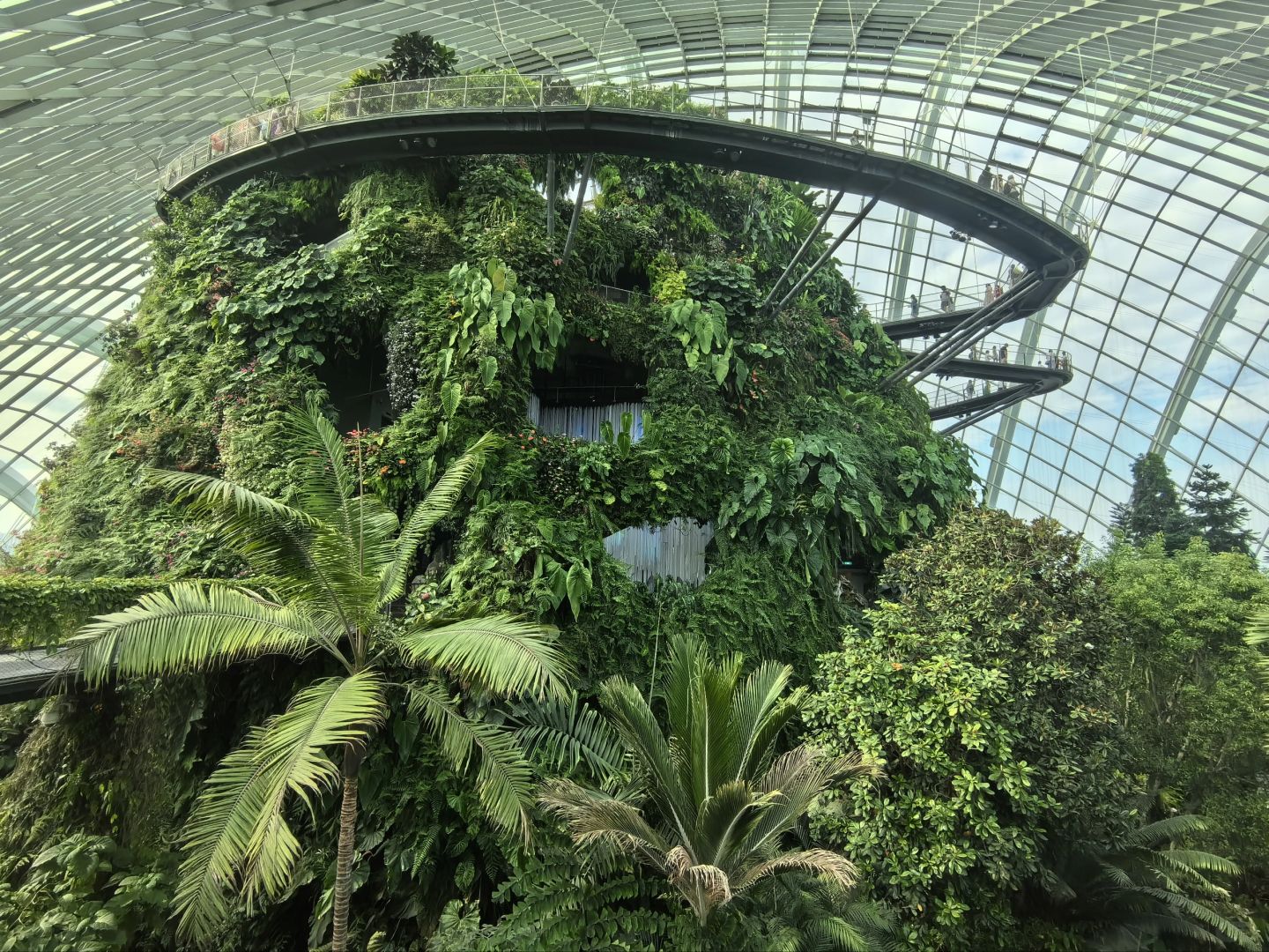 Singapore-Singapore Gardens by the Bay photo collection?, an oasis in the city, a dream garden