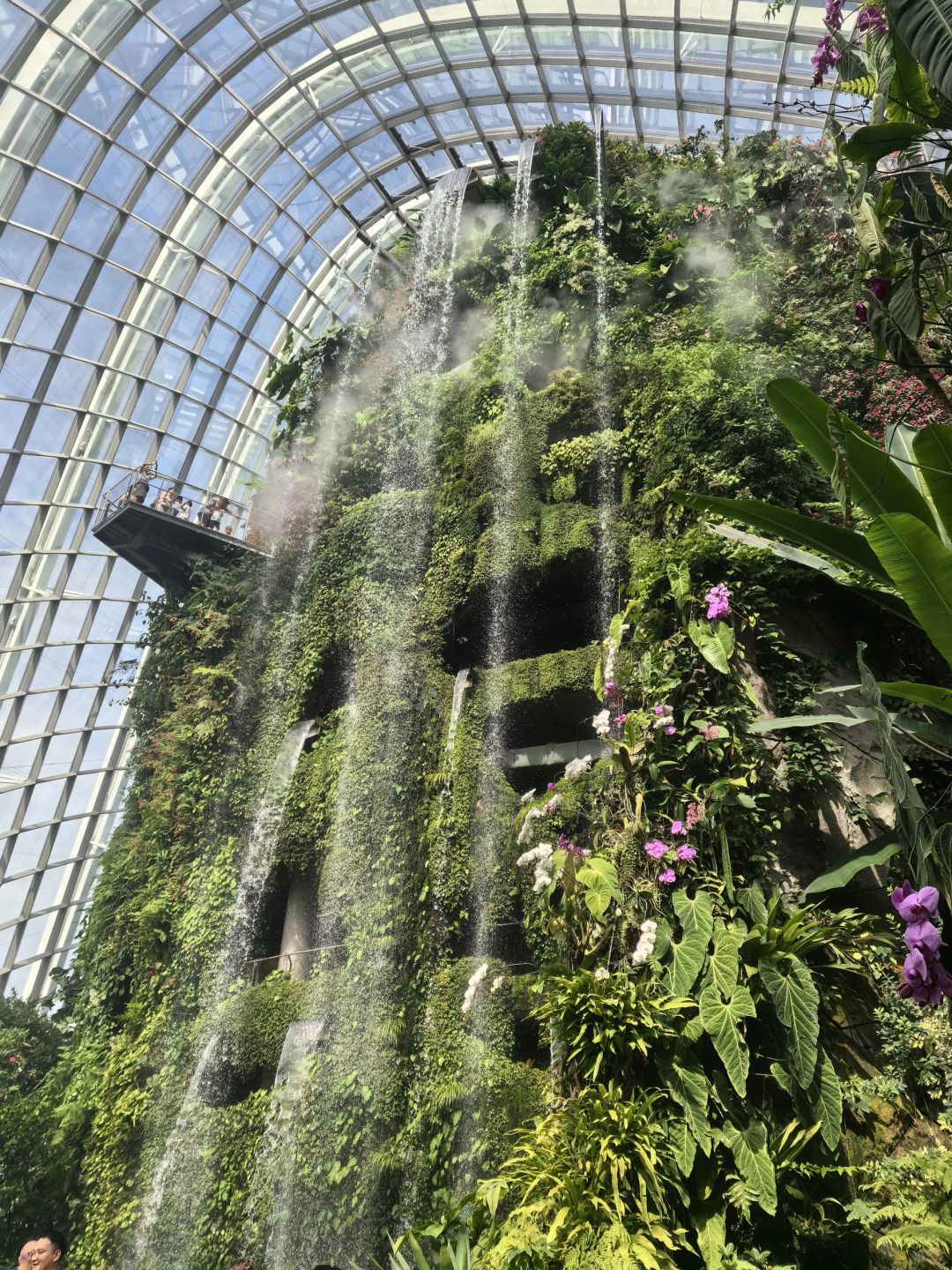 Singapore-Singapore Gardens by the Bay photo collection?, an oasis in the city, a dream garden