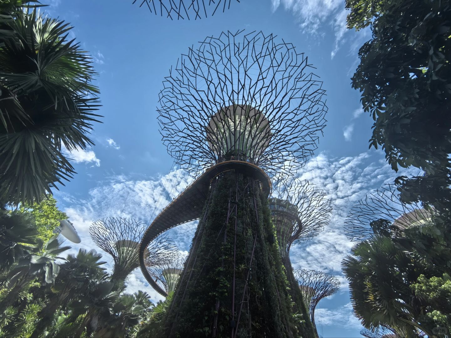 Singapore-Singapore Gardens by the Bay photo collection?, an oasis in the city, a dream garden
