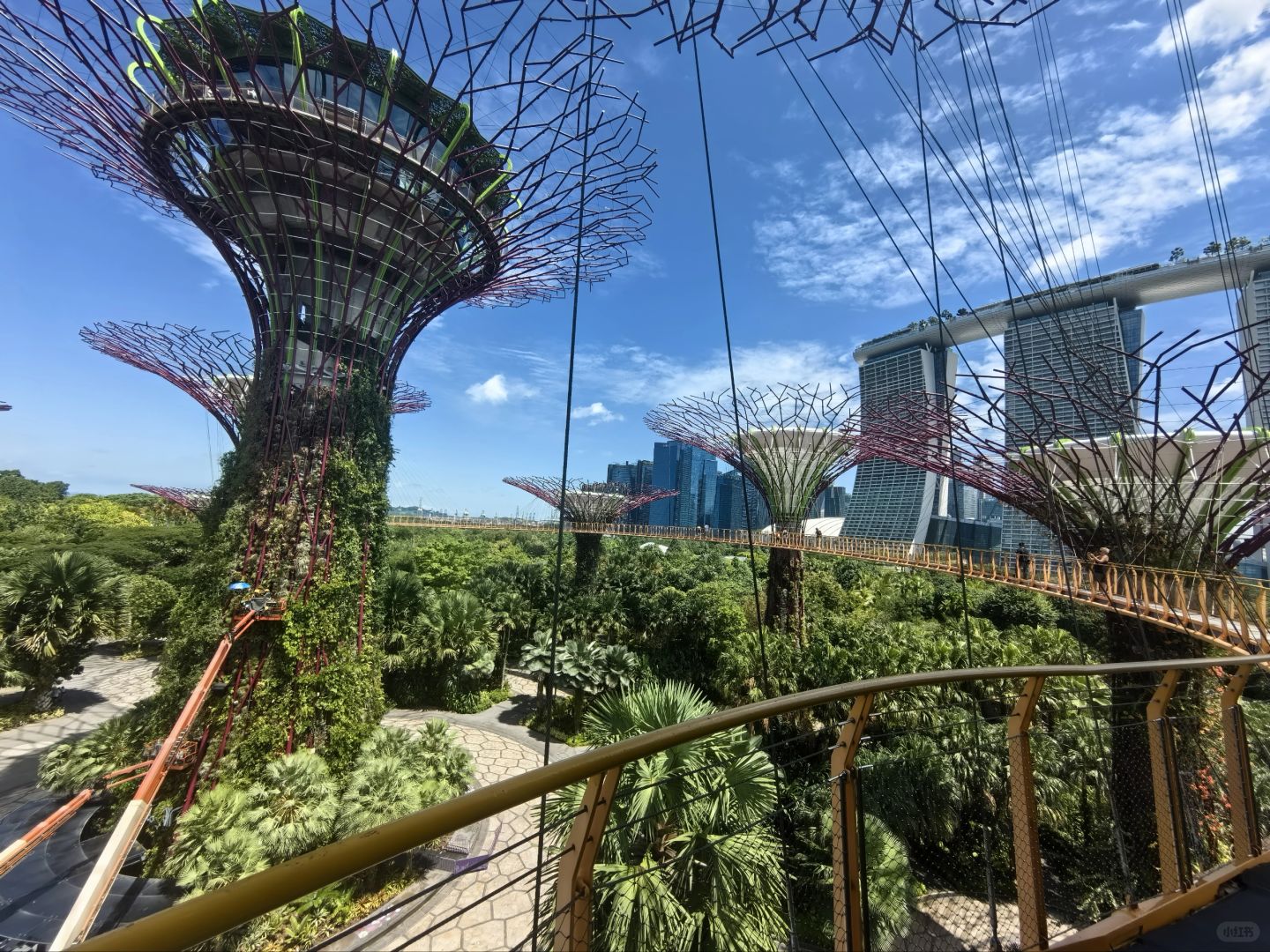 Singapore-Singapore Gardens by the Bay photo collection?, an oasis in the city, a dream garden