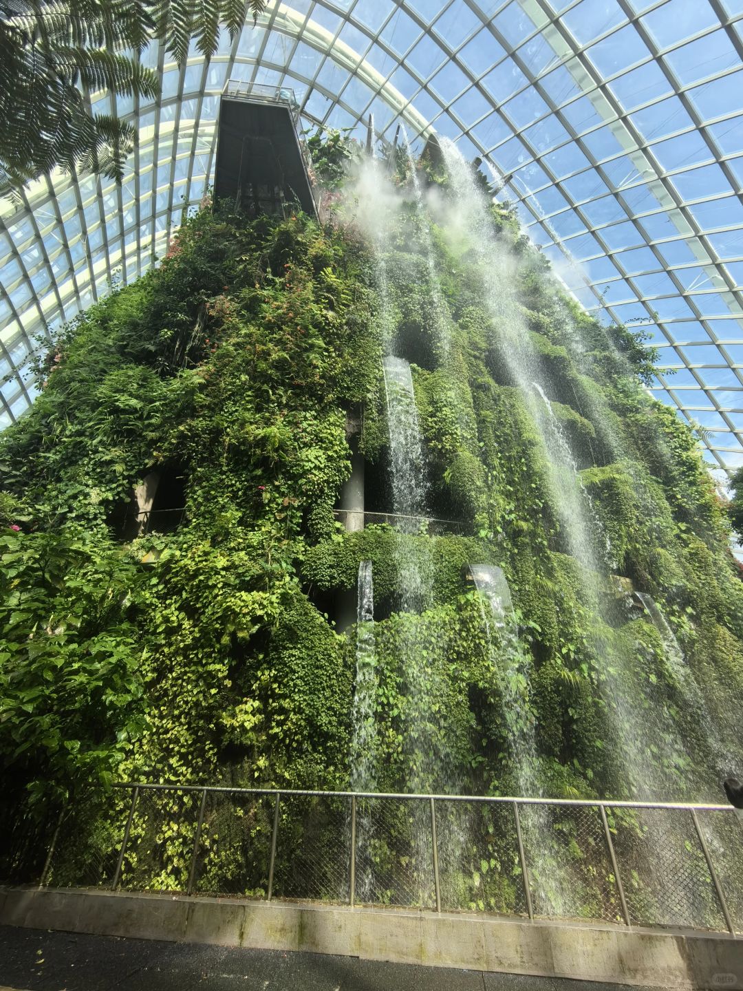 Singapore-Singapore Gardens by the Bay photo collection?, an oasis in the city, a dream garden