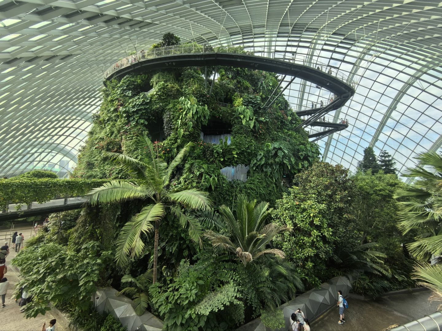 Singapore-Singapore Gardens by the Bay photo collection?, an oasis in the city, a dream garden