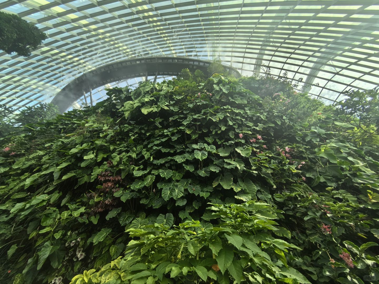 Singapore-Singapore Gardens by the Bay photo collection?, an oasis in the city, a dream garden