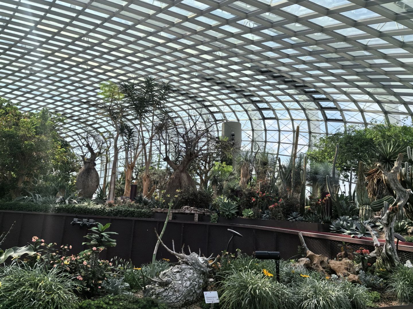 Singapore-Singapore Gardens by the Bay photo collection?, an oasis in the city, a dream garden