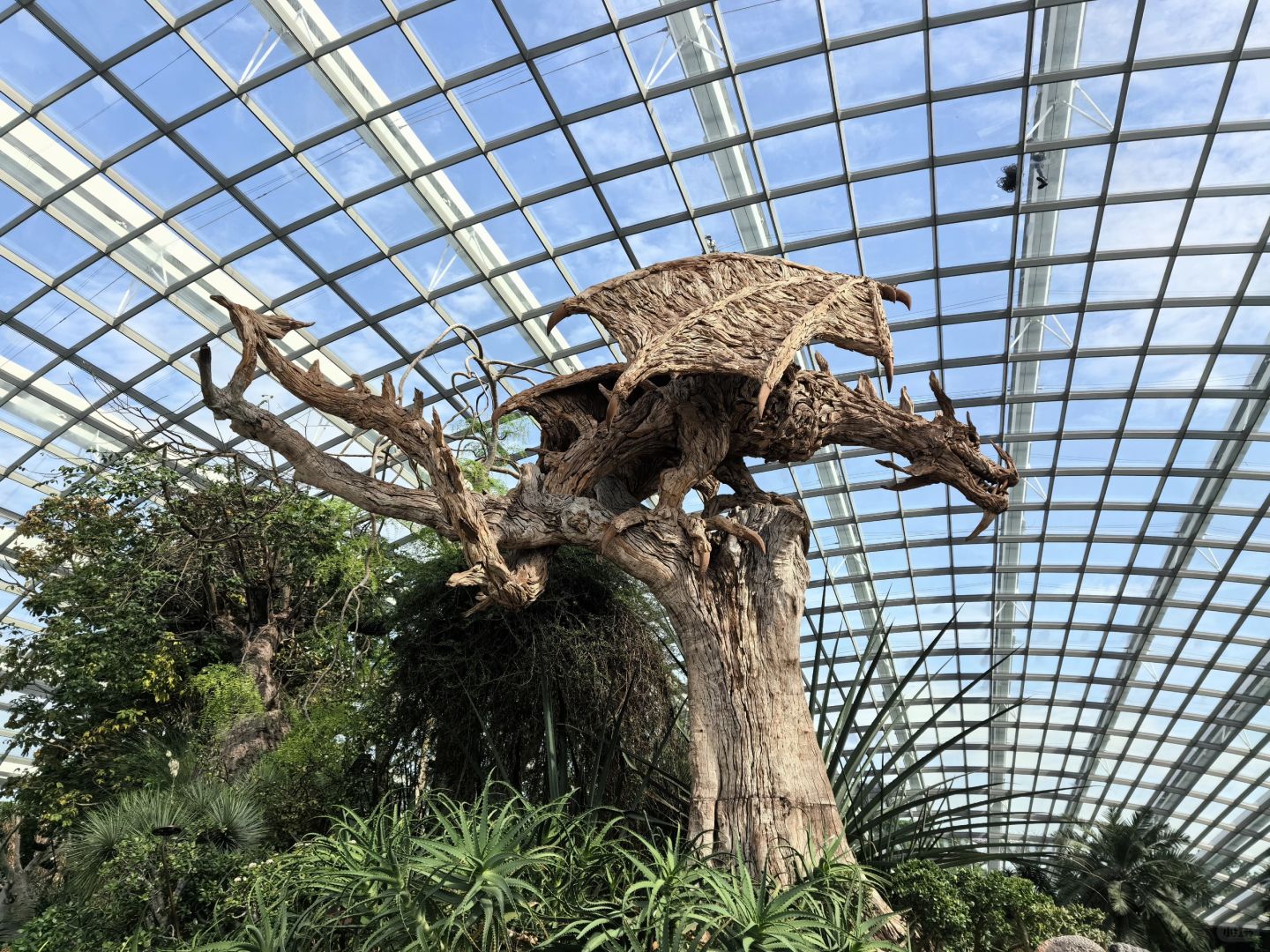 Singapore-Singapore Gardens by the Bay photo collection?, an oasis in the city, a dream garden