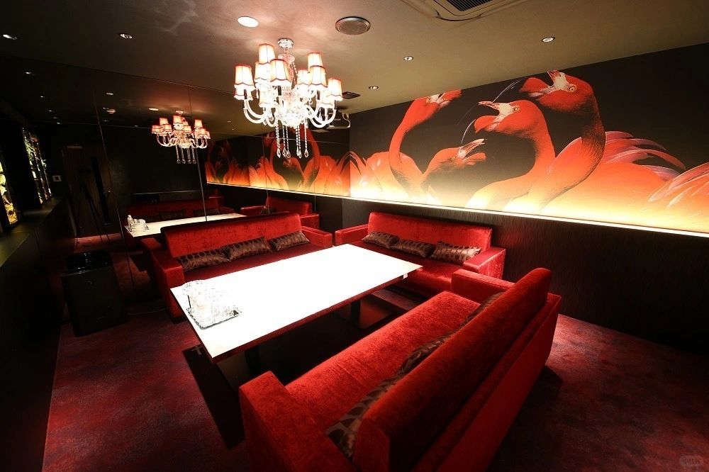 Osaka-Osaka's top bar, club ZOO -ズーミナミ-, a fashionable place where beautiful girls gather