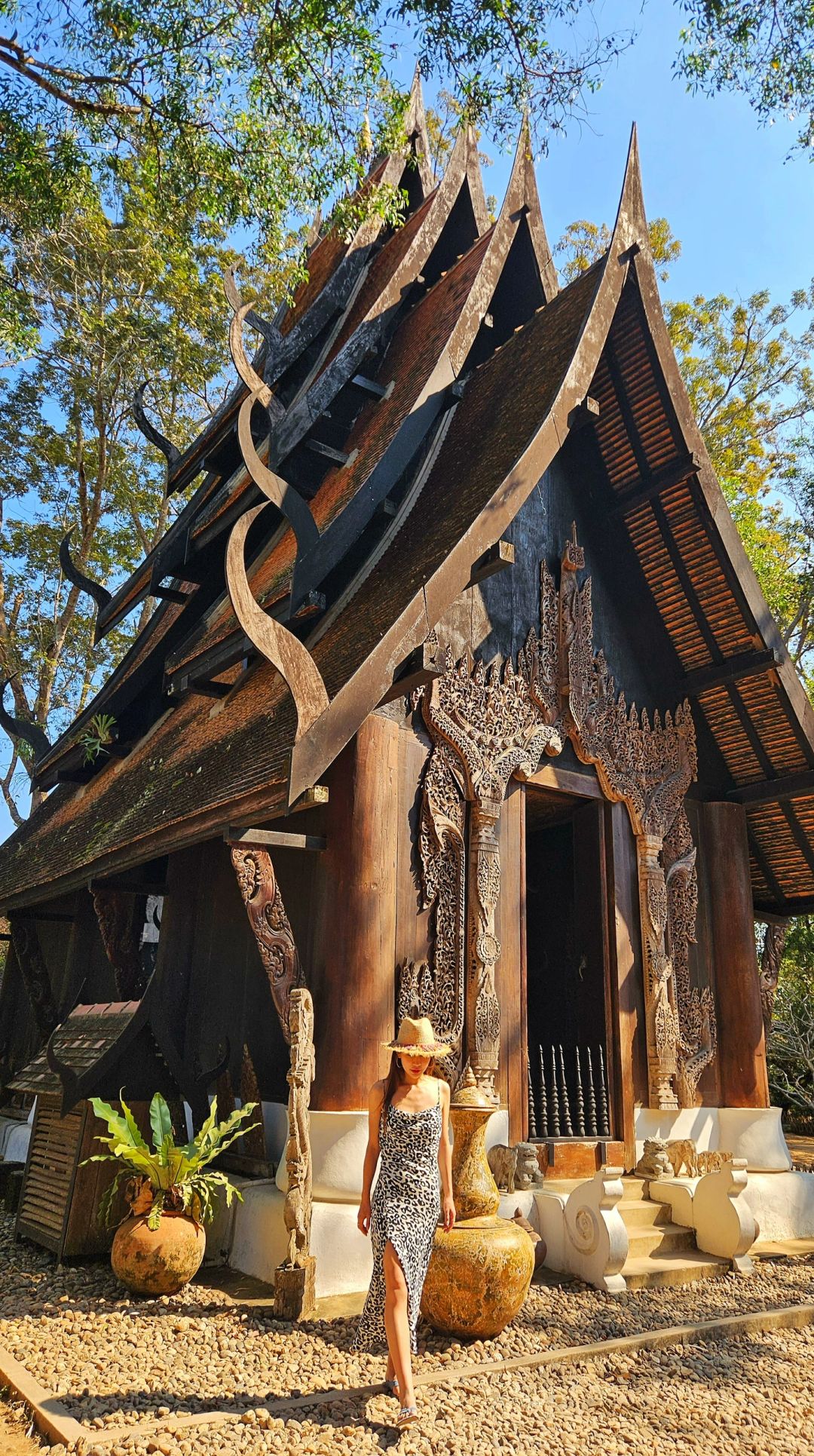 Chiang Mai-Chiang Mai White Temple?, Blue Temple and Black Temple, travel experience Buddhist Pure Land