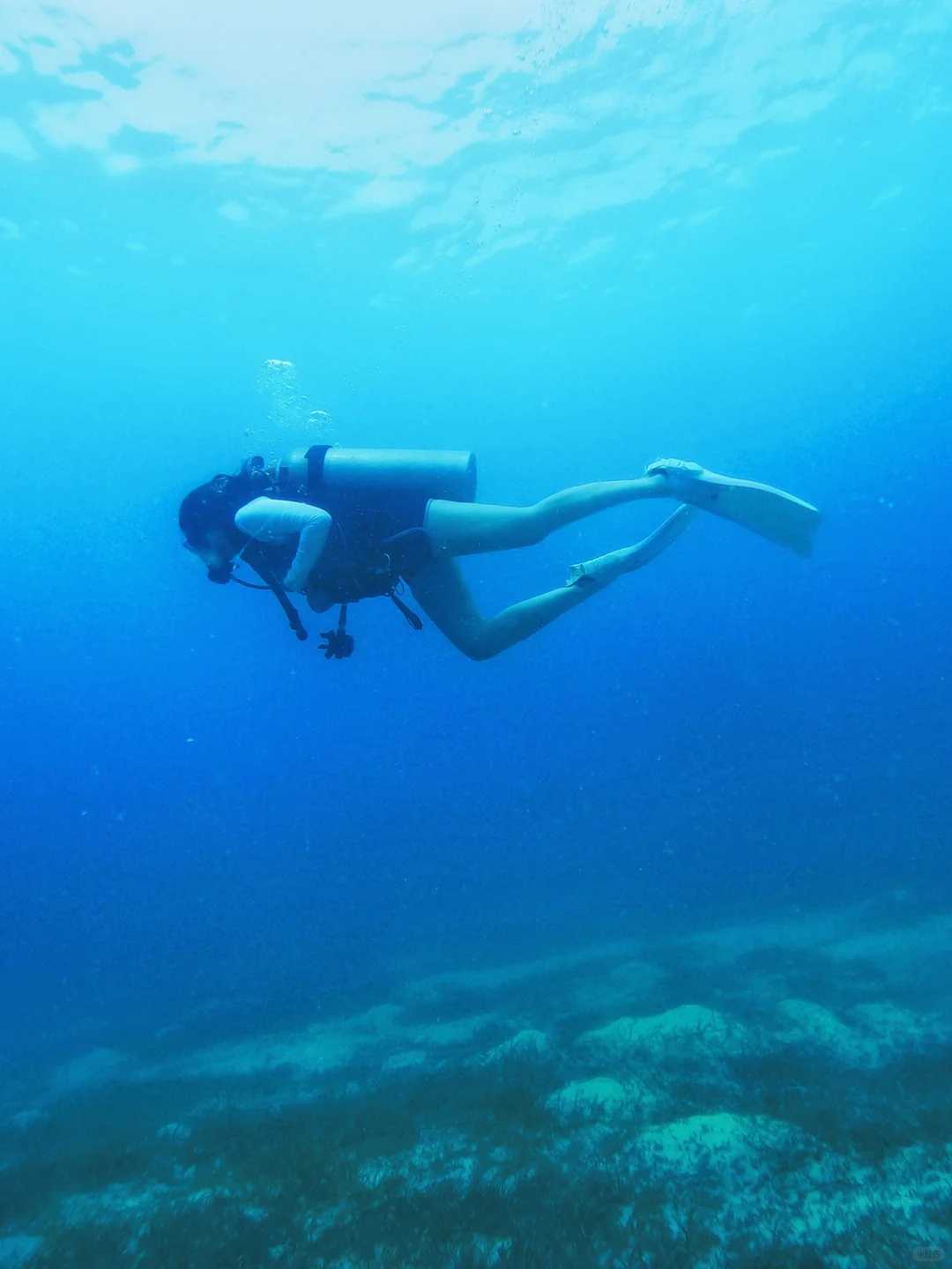 Cebu-Travel diary, diving record in Cebu, Philippines, taking photos of sea turtles in Casa Paris