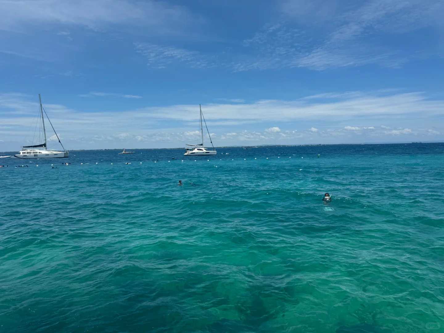 Cebu-Travel diary, diving record in Cebu, Philippines, taking photos of sea turtles in Casa Paris