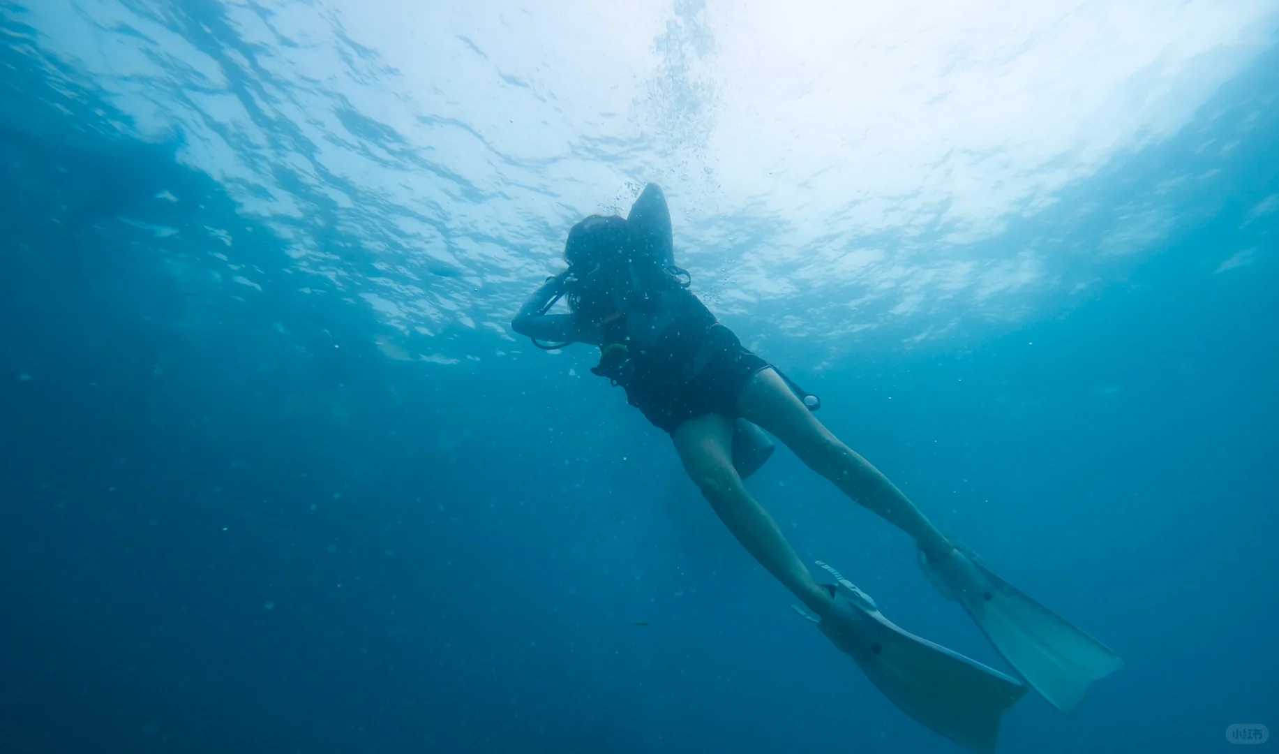 Cebu-Travel diary, diving record in Cebu, Philippines, taking photos of sea turtles in Casa Paris