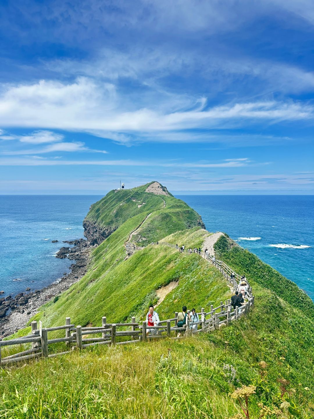 Sapporo/Hokkaido-Summer is the right way to start your trip to Hokkaido?, with green grass and blue sea